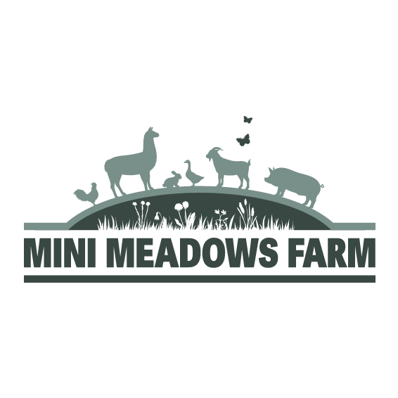 mini-meadows-farm