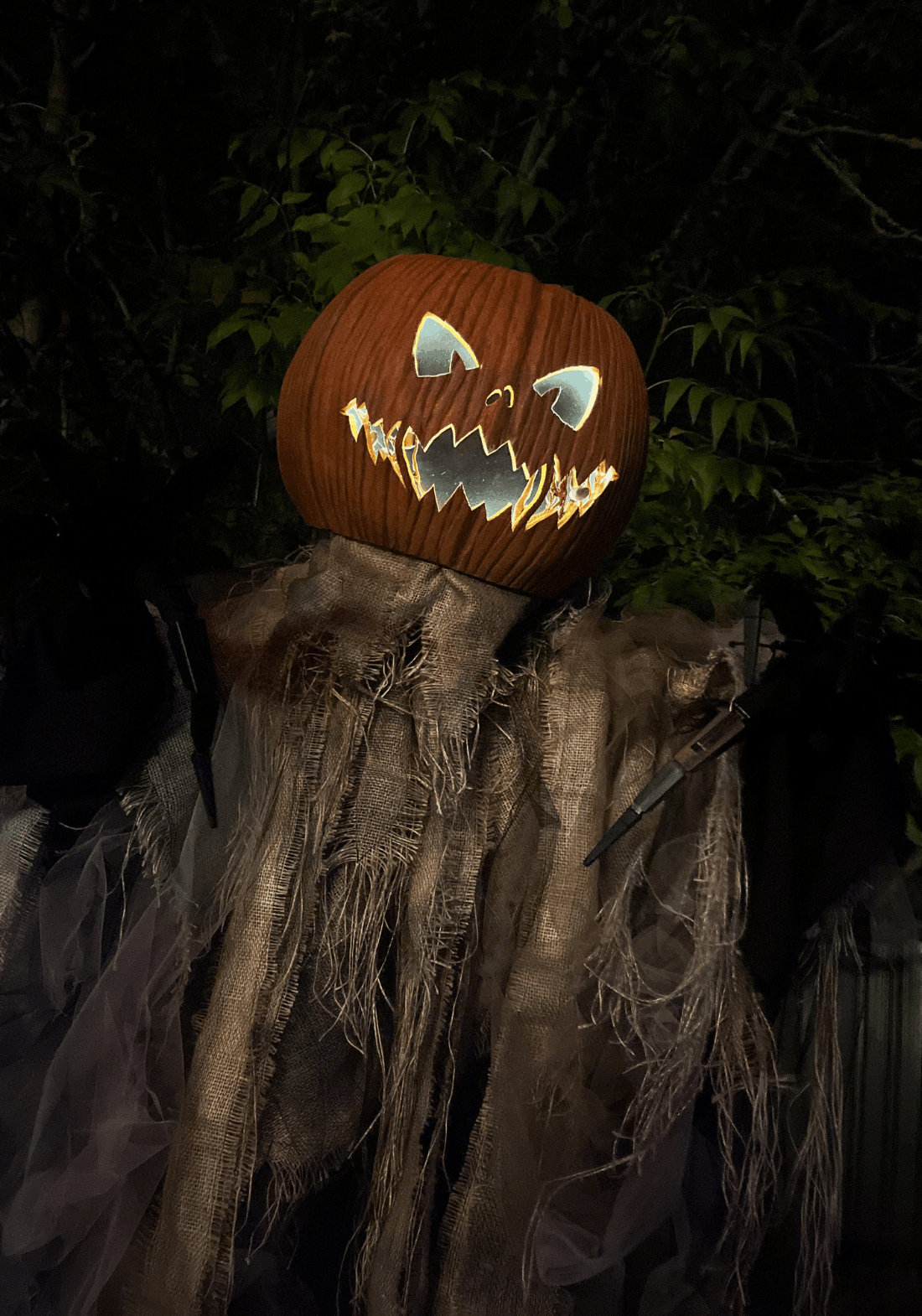 fancy-entertainment-and-events-ltd