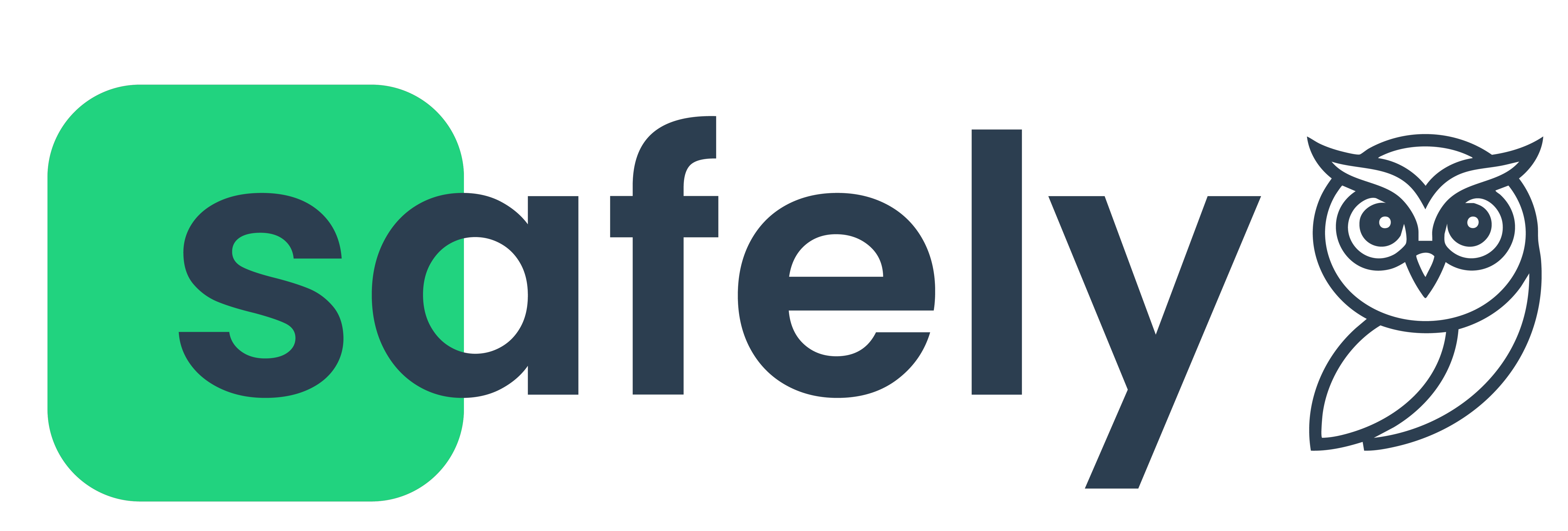 safely-systems