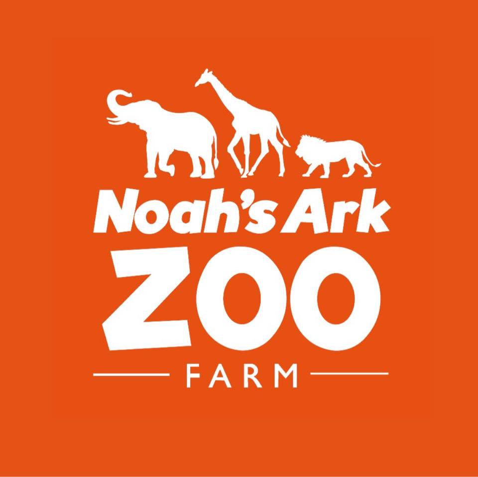 noah's-ark-zoo-farm