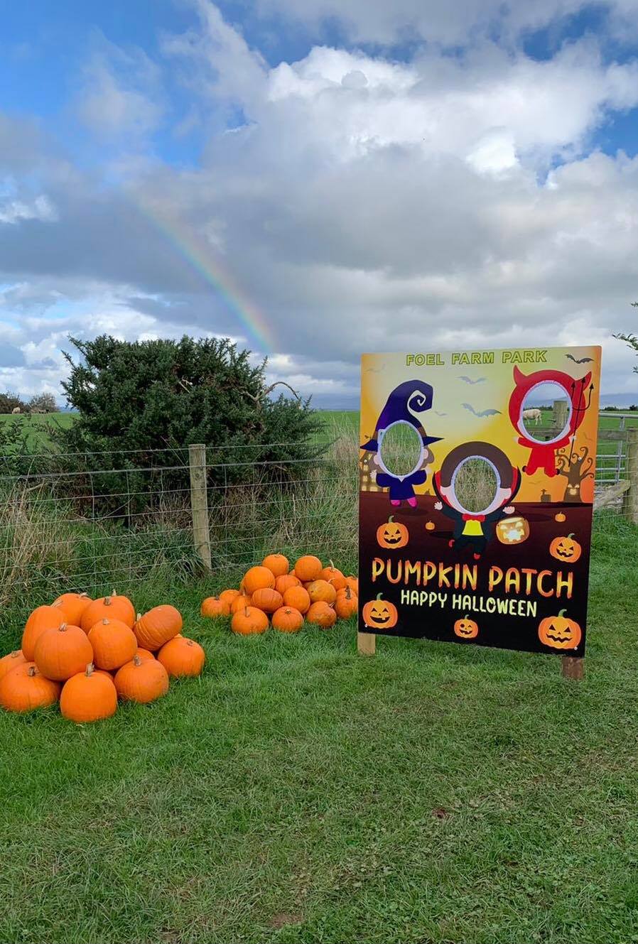 foel-farm-park