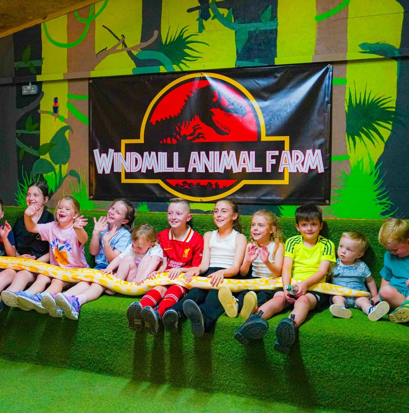 windmill-animal-farm