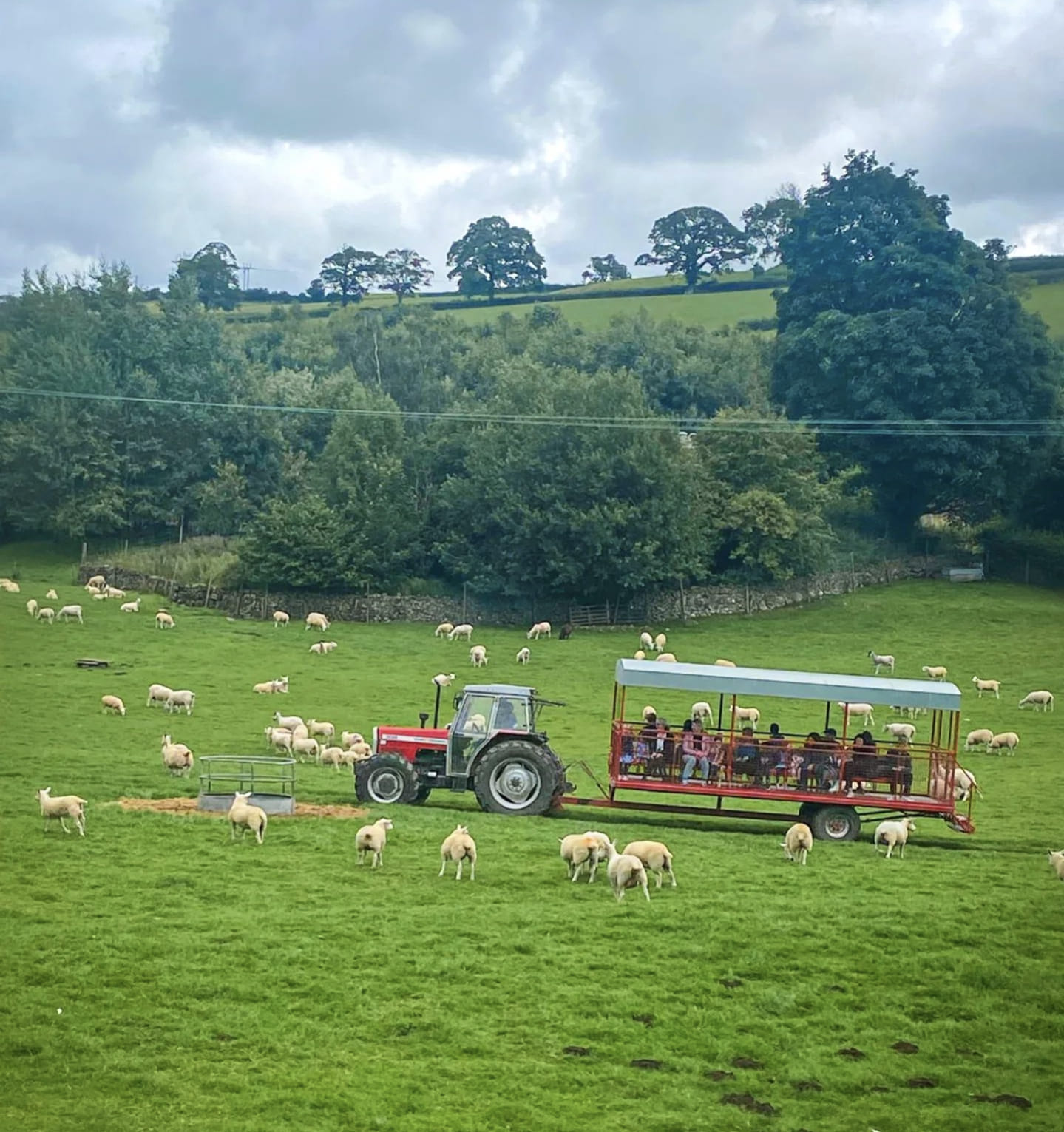lakeland-maze-farm-park