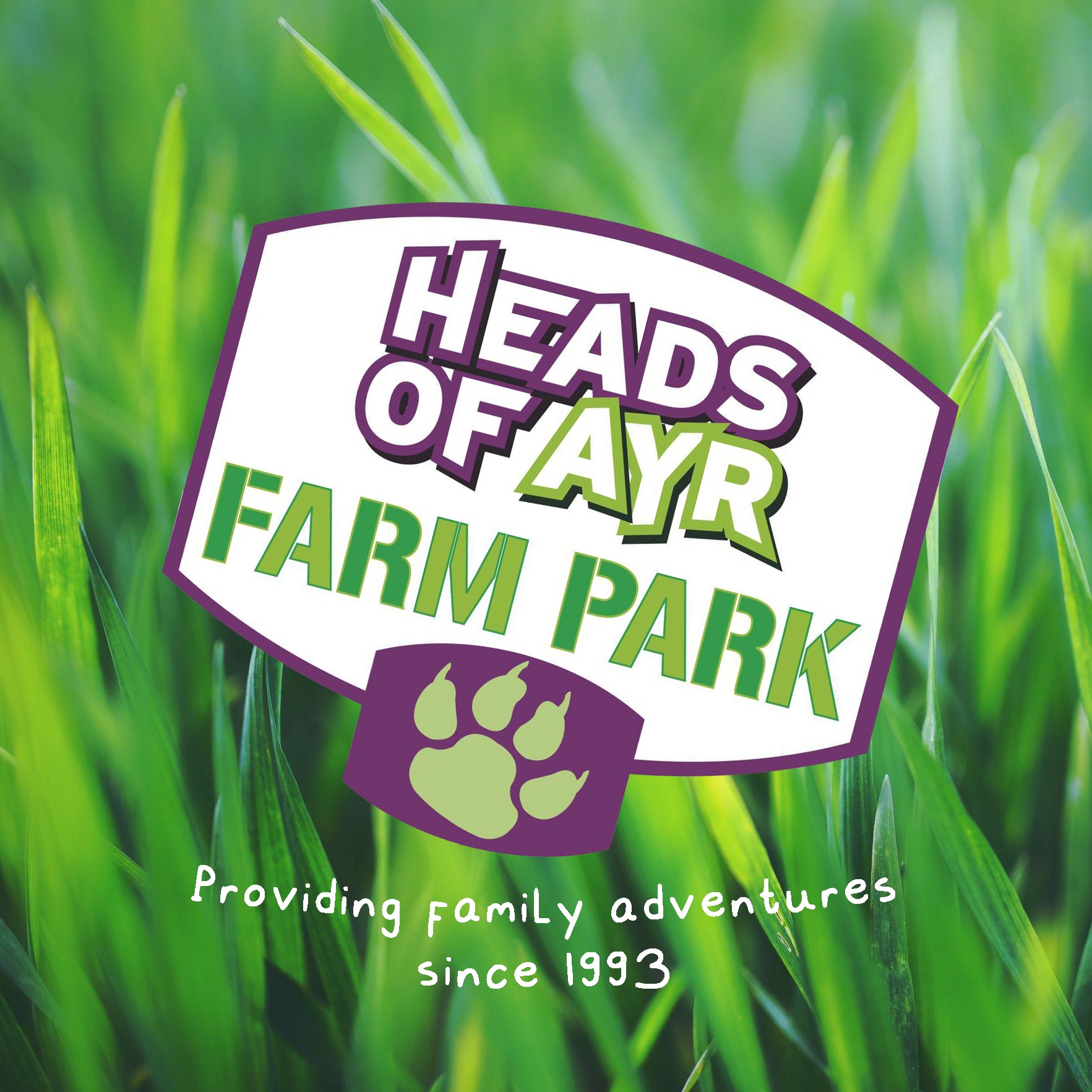 heads-of-ayr-farm-park-