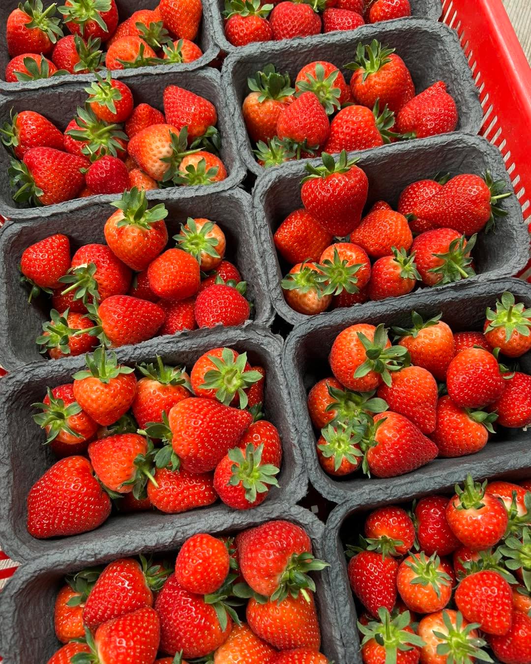 rough-hill-farm-shop