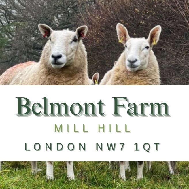 belmont-children's-farm