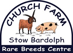 church-farm-rare-breeds-centre