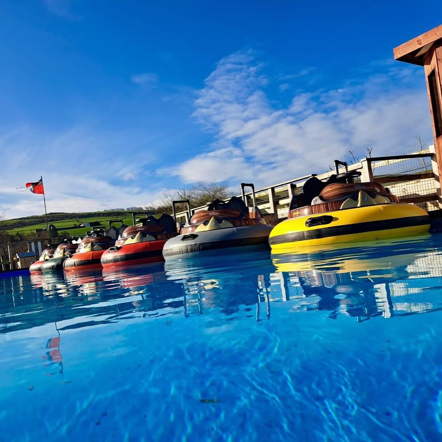 heads-of-ayr-farm-park-