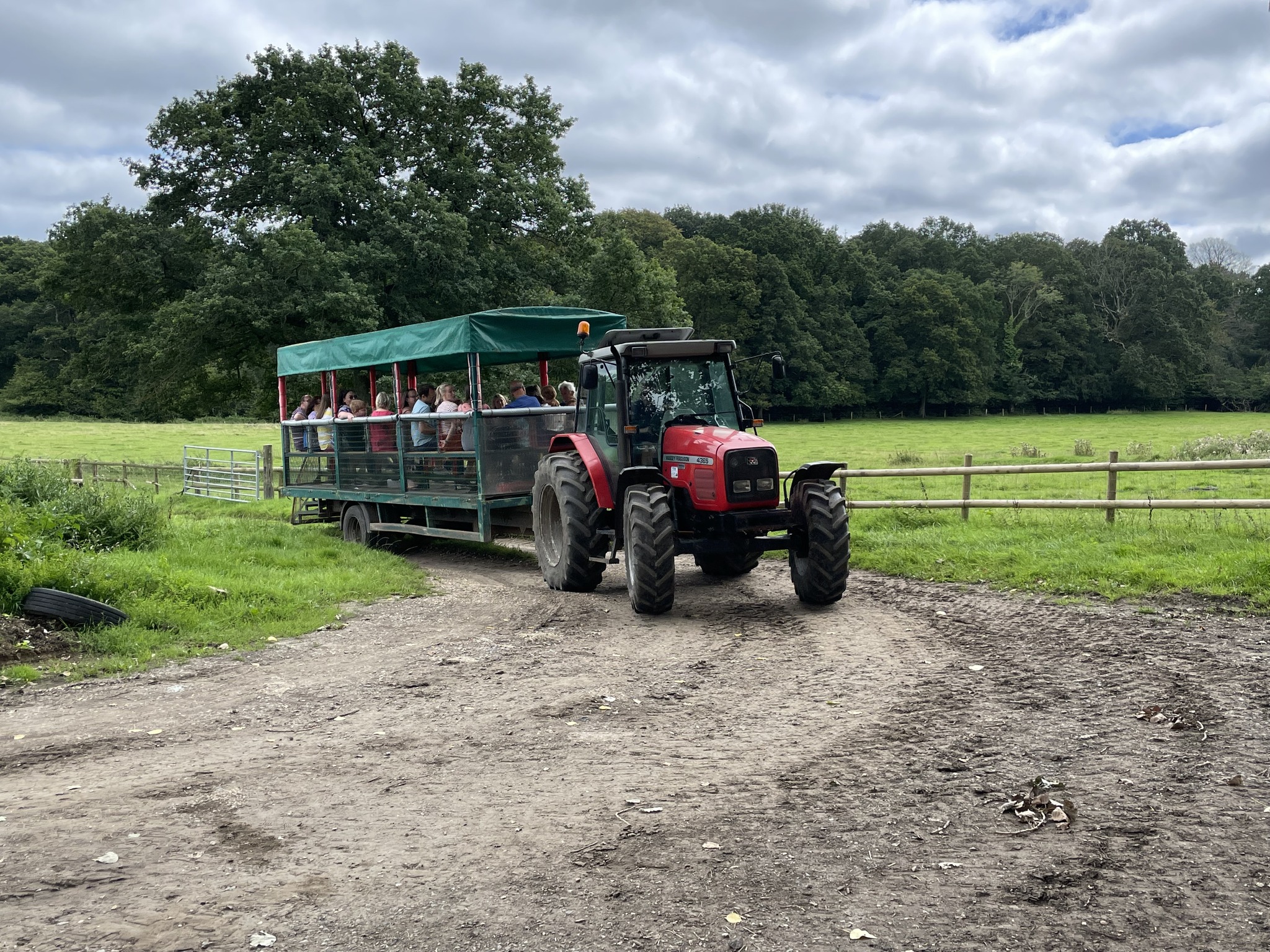 longdown-activity-farm