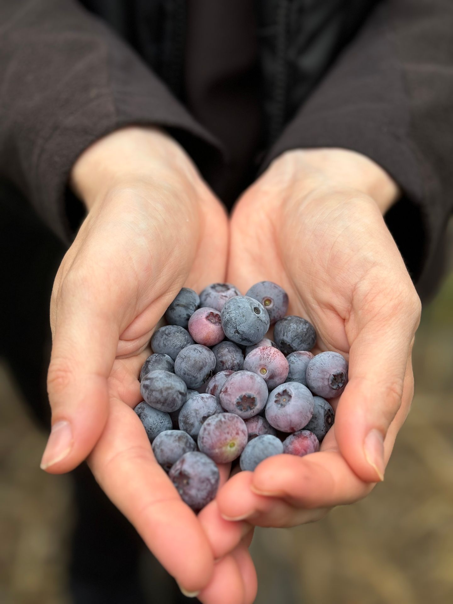 craigie's-farm-deli-&-cafe-