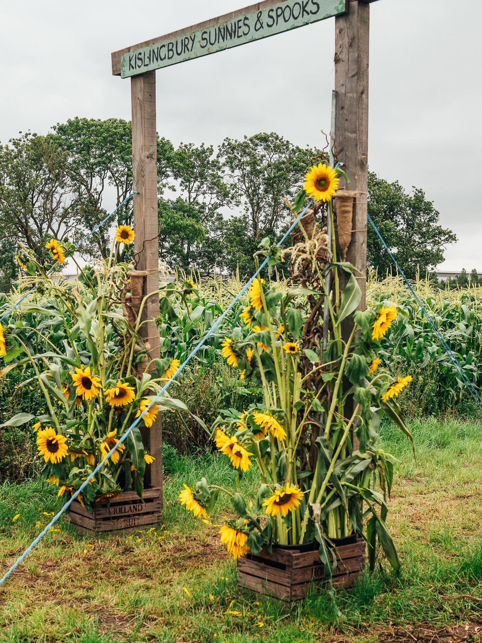 kislingbury-sunnies-and-spooks