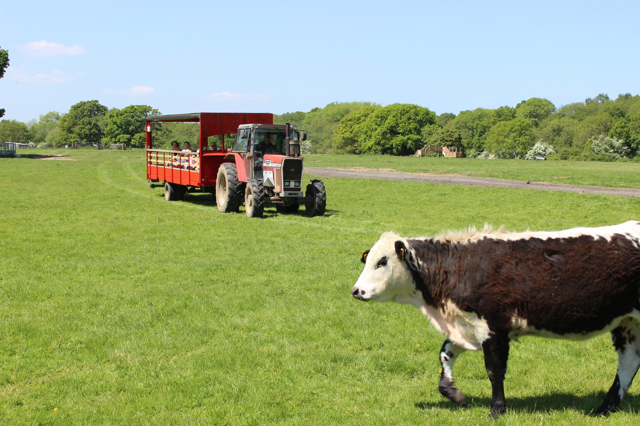 4-kingdoms-adventure-&-farm-park