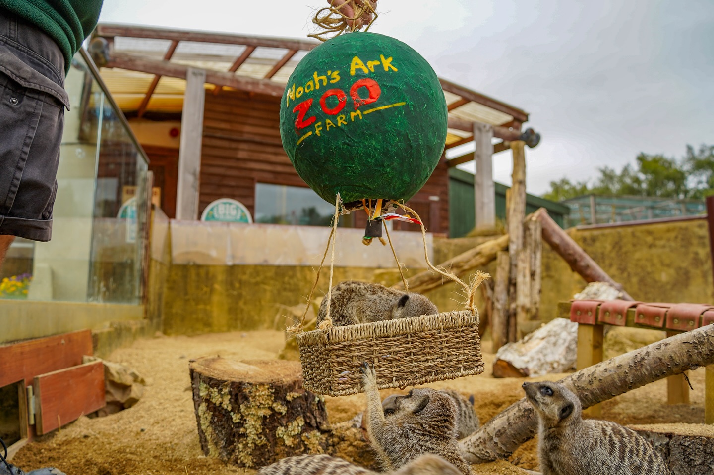 noah's-ark-zoo-farm