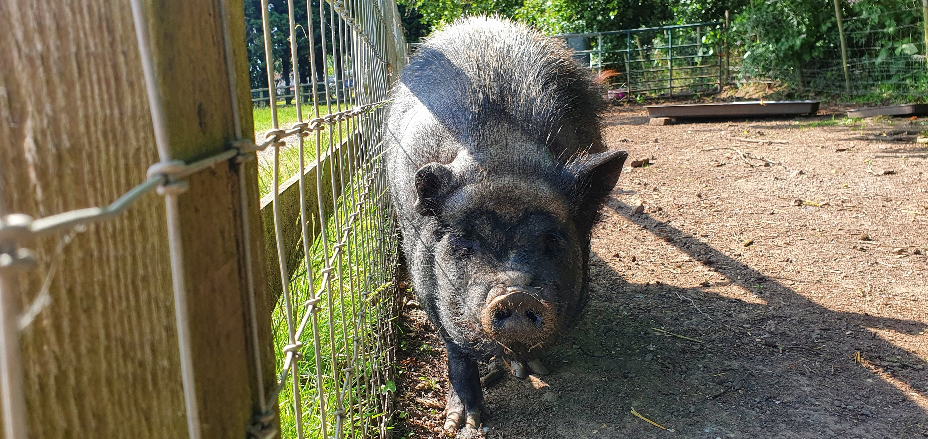 floralands-farm-park