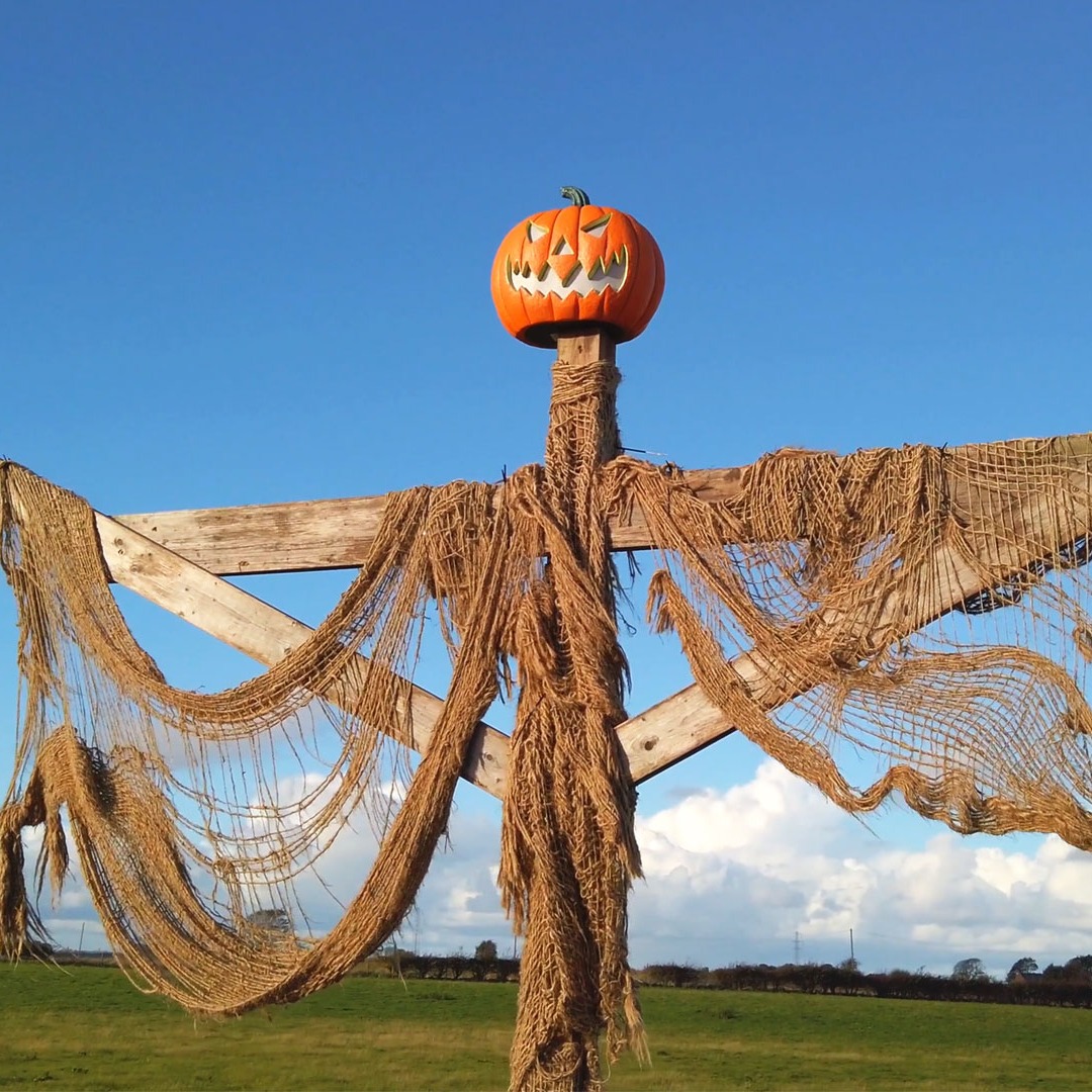 farmer-ted's-farm-park