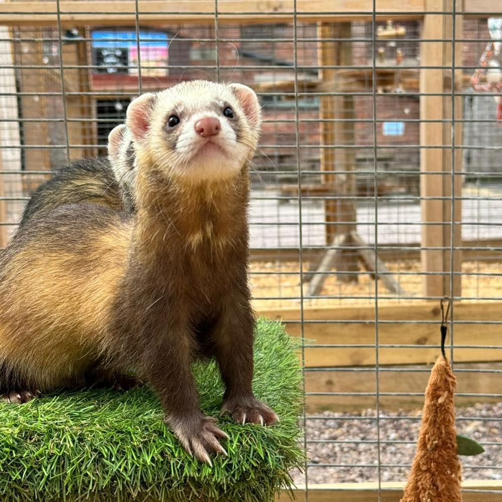 amerton-farm-&-craft-centre