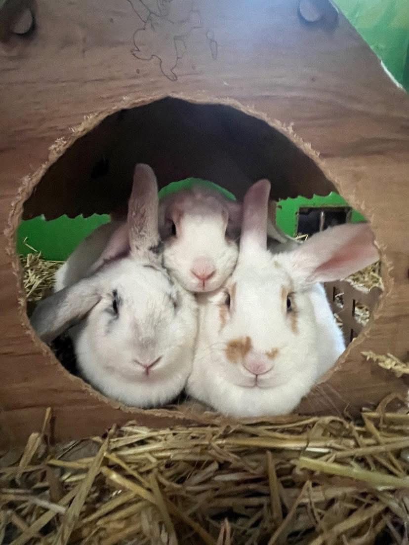 whitehouse-farm-centre