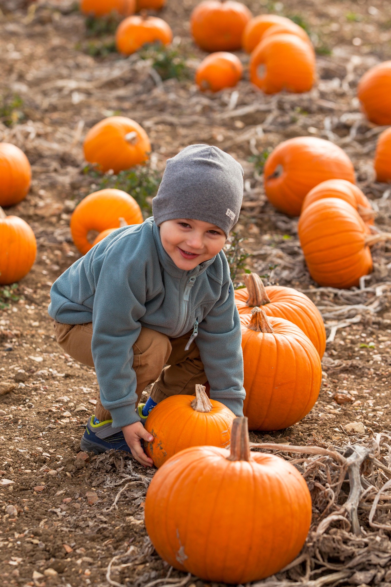 the-milton-maize-maze