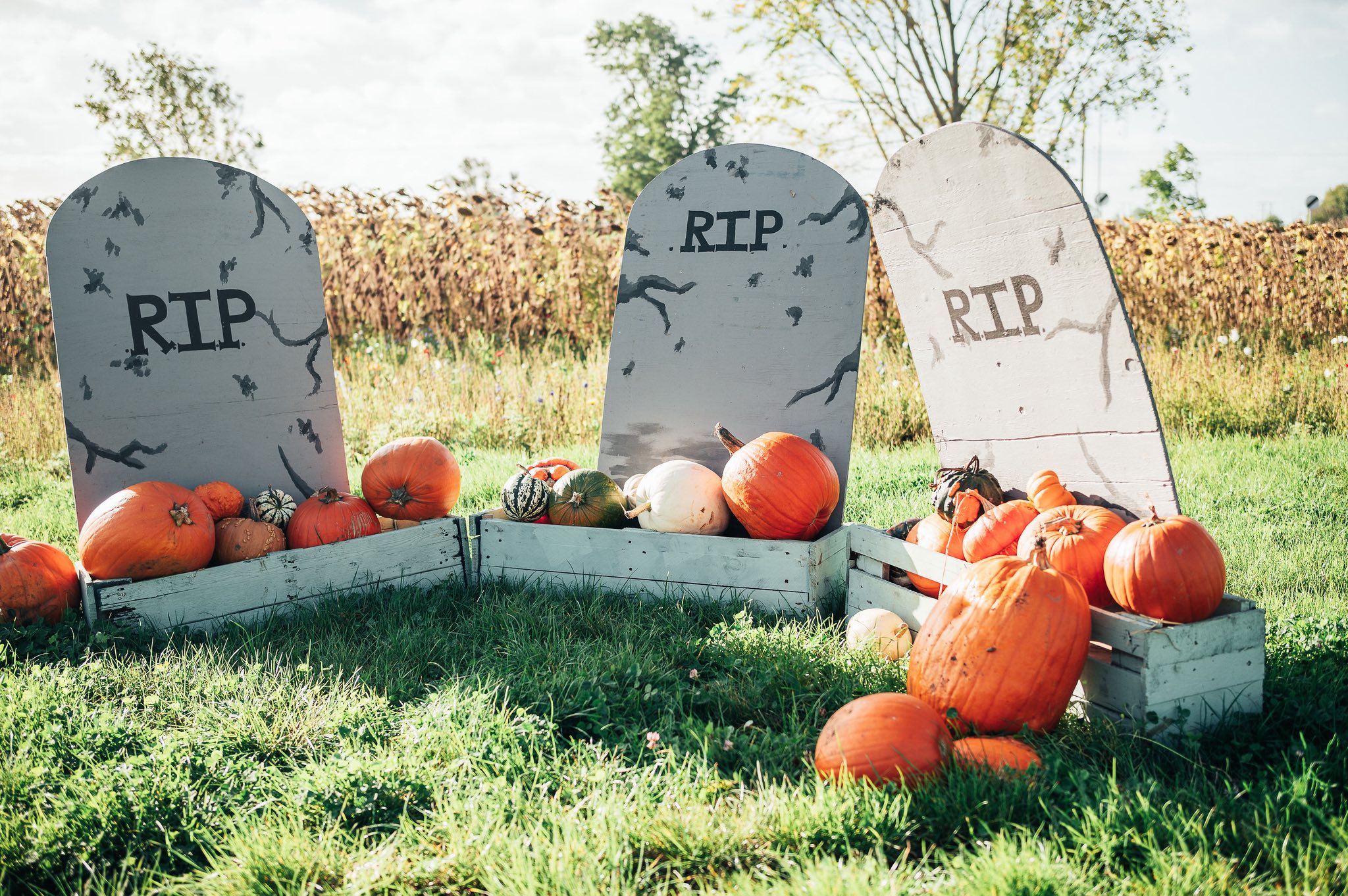 kislingbury-sunnies-and-spooks