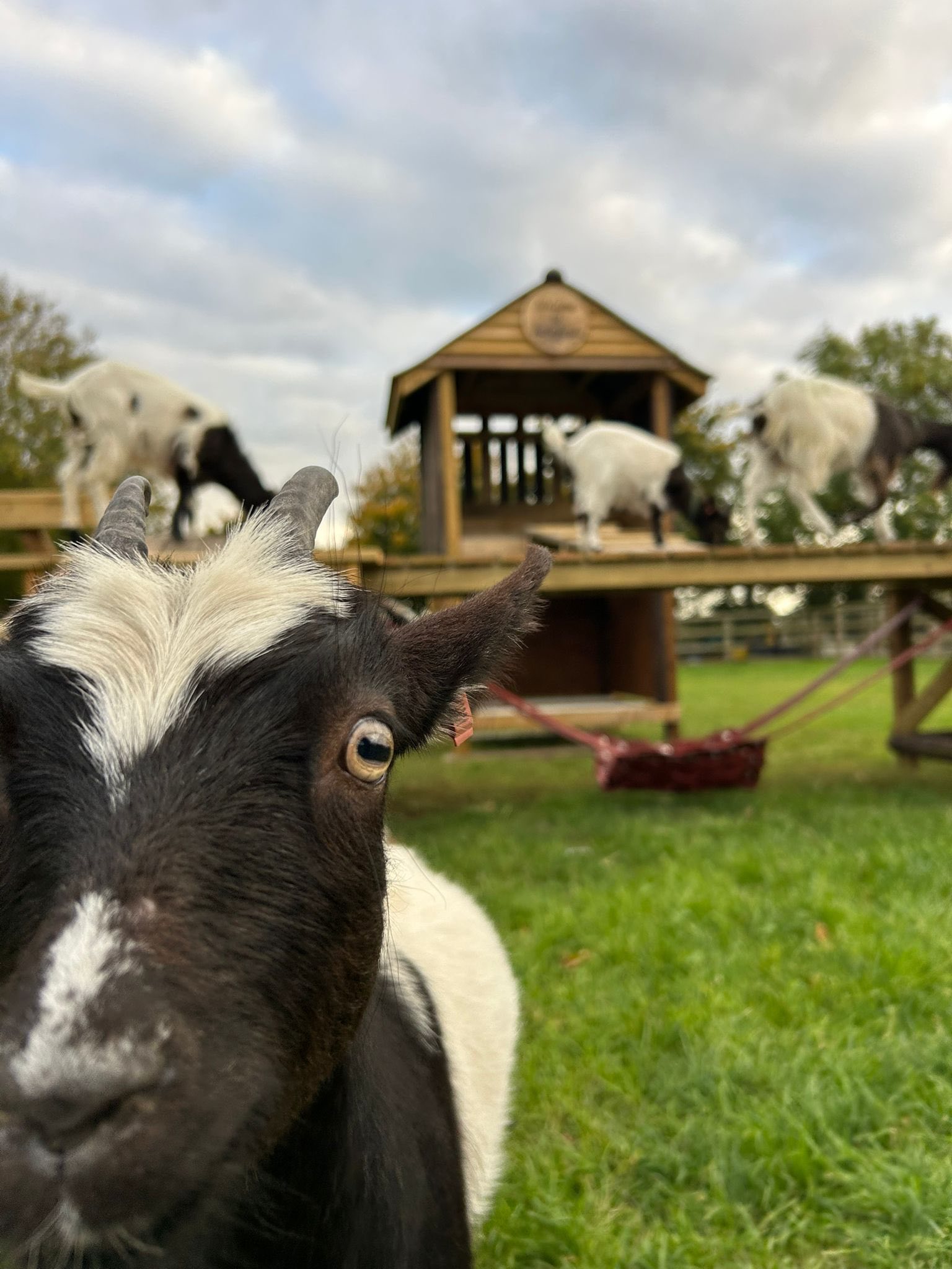barleylands-farm-centre