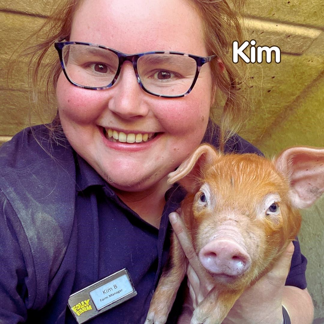 folly-farm-adventure-park-&-zoo