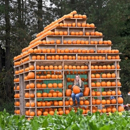 the-pumpkin-house