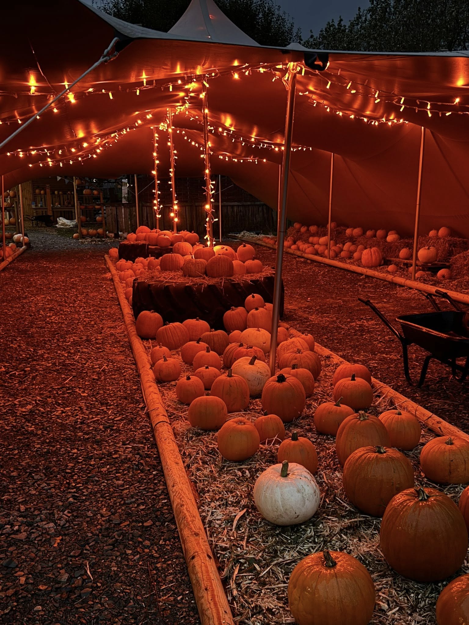 west-lodge-farm-park