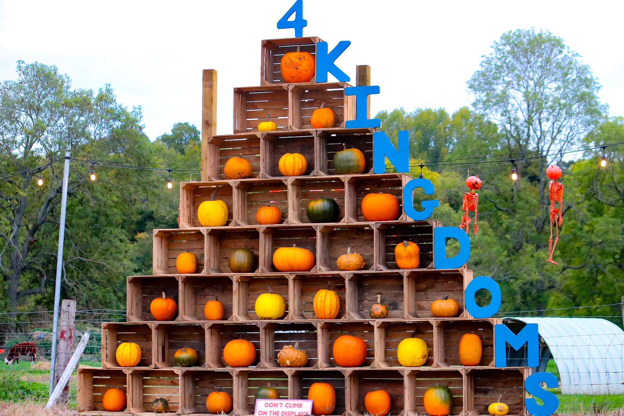 4-kingdoms-adventure-&-farm-park