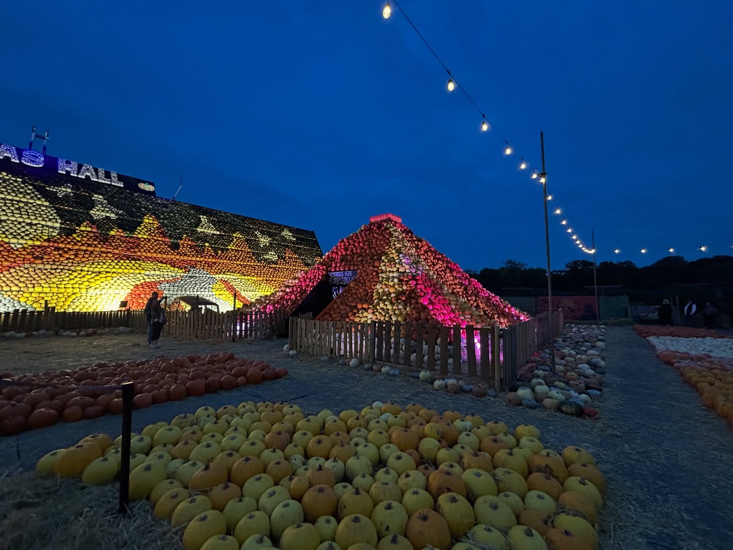 Pumpkin Open Day at Cammas Hall Farm