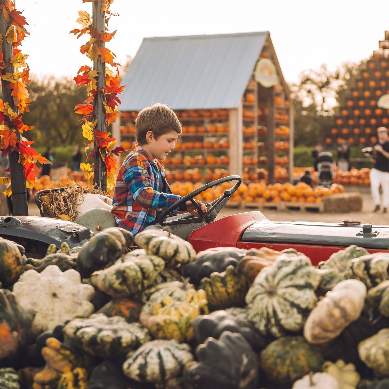 avon-valley-adventure-wildlife-park