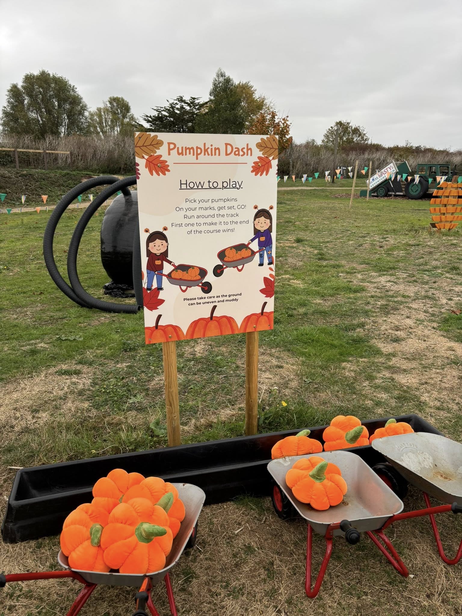 hasty's-adventure-farm