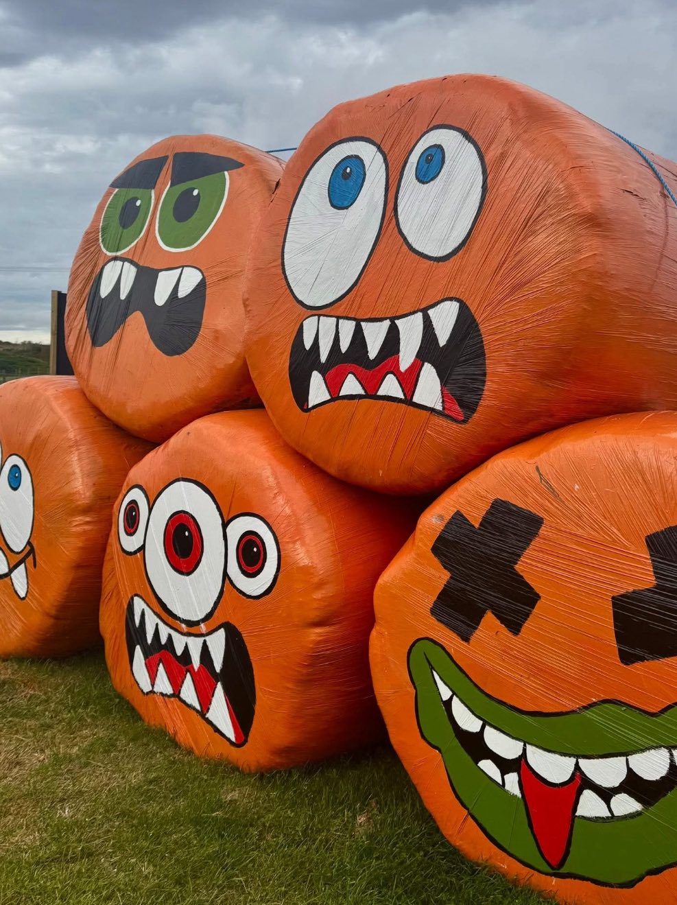 tweddle-children's-animal-farm