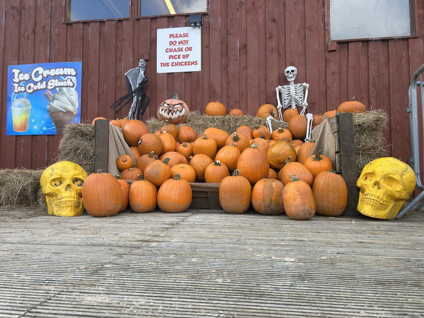 springfields-fun-park-and-pony-centre