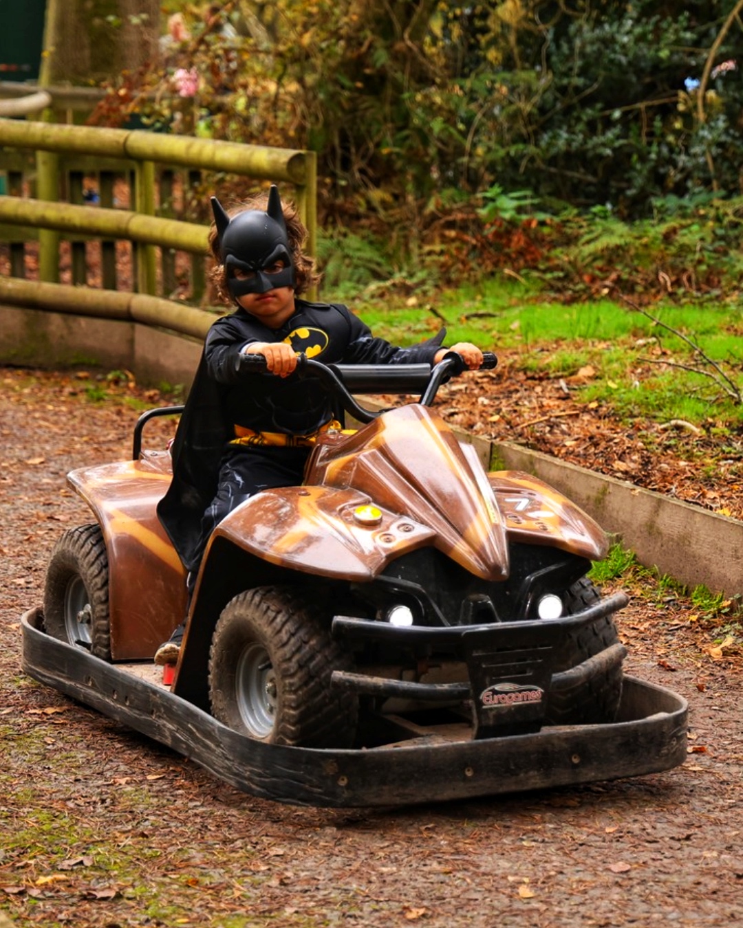 wellington-country-park