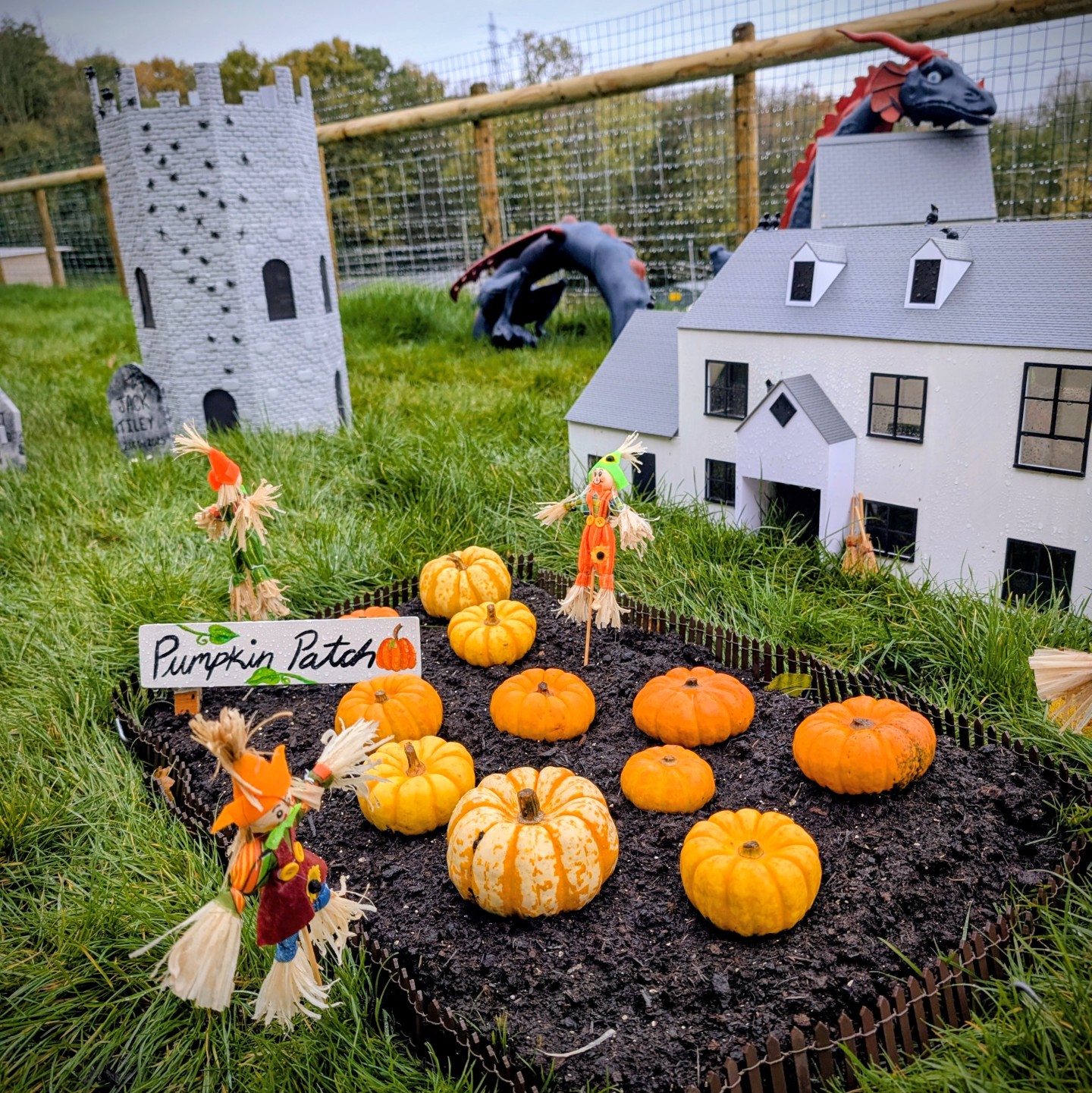 greenmeadow-community-farm