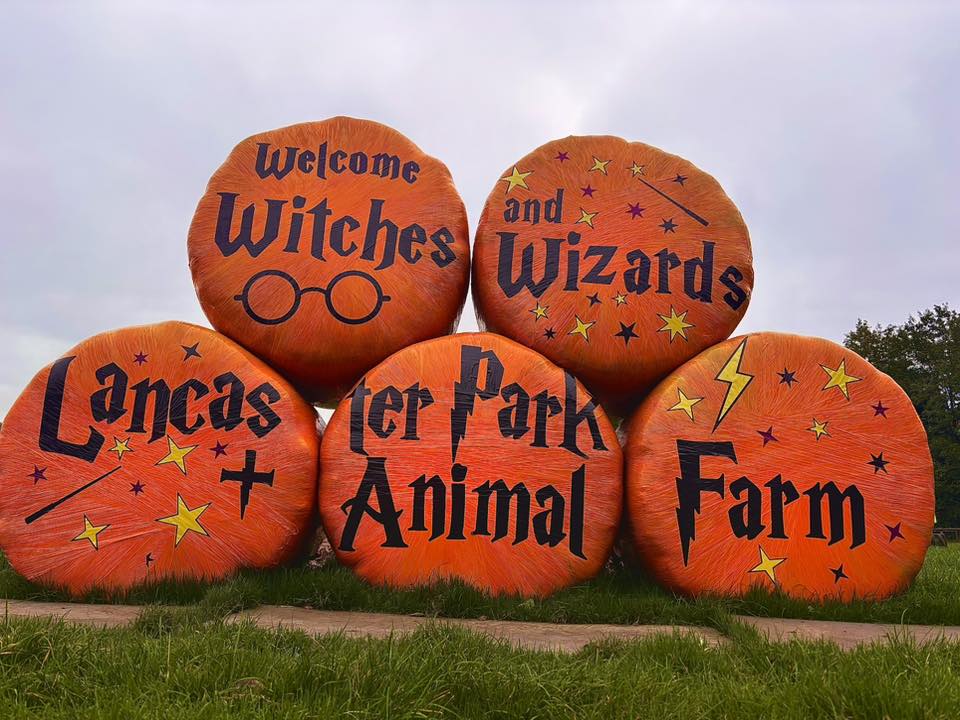 lancaster-park-&-animal-farm