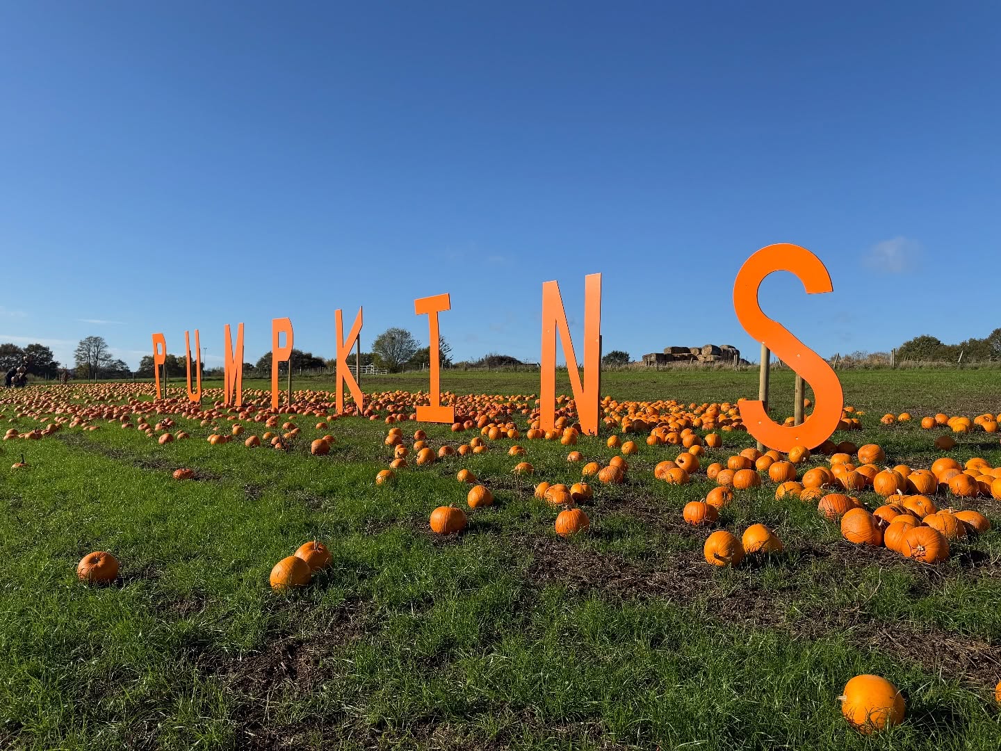 willows-activity-farm