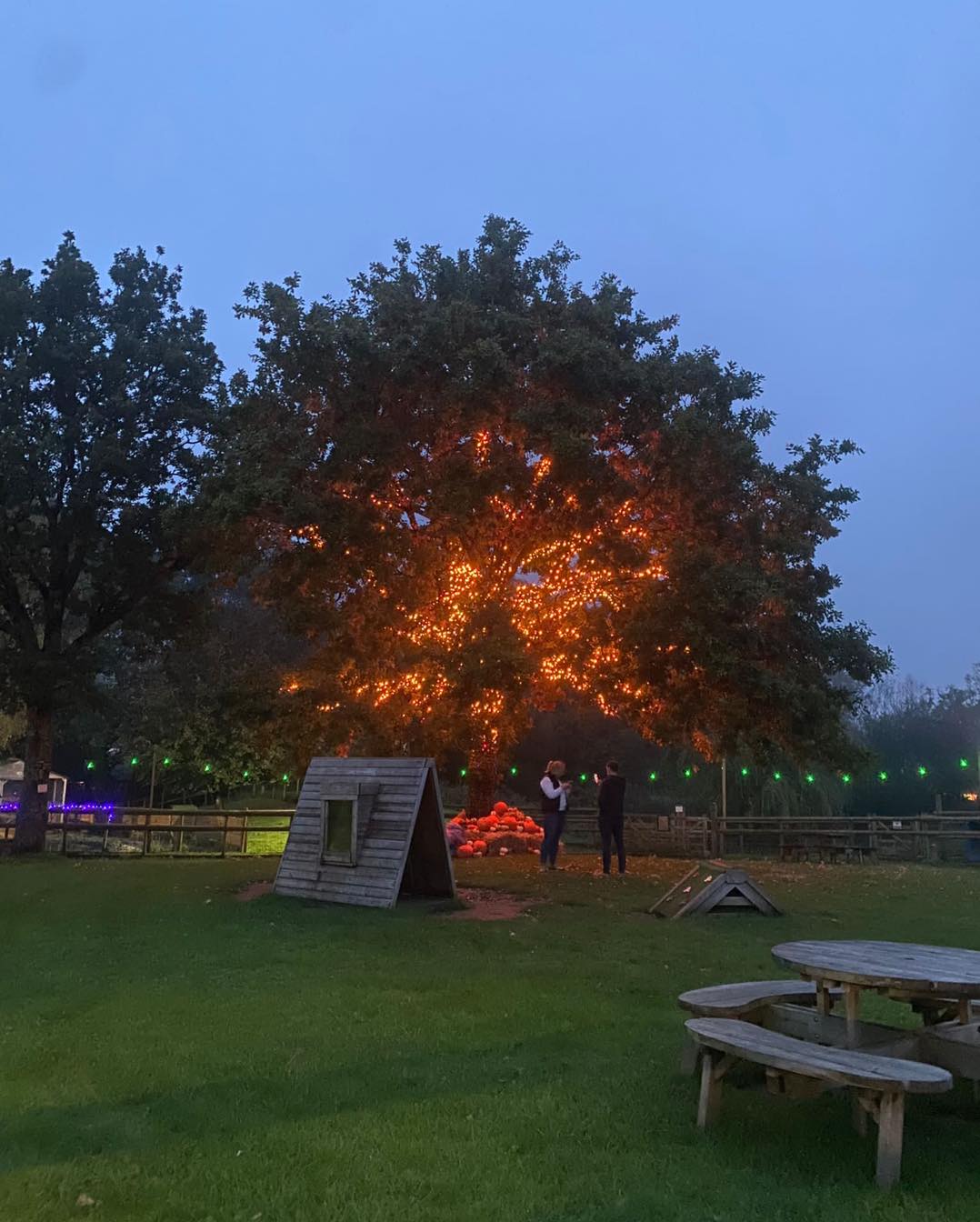 playworks-the-meadows