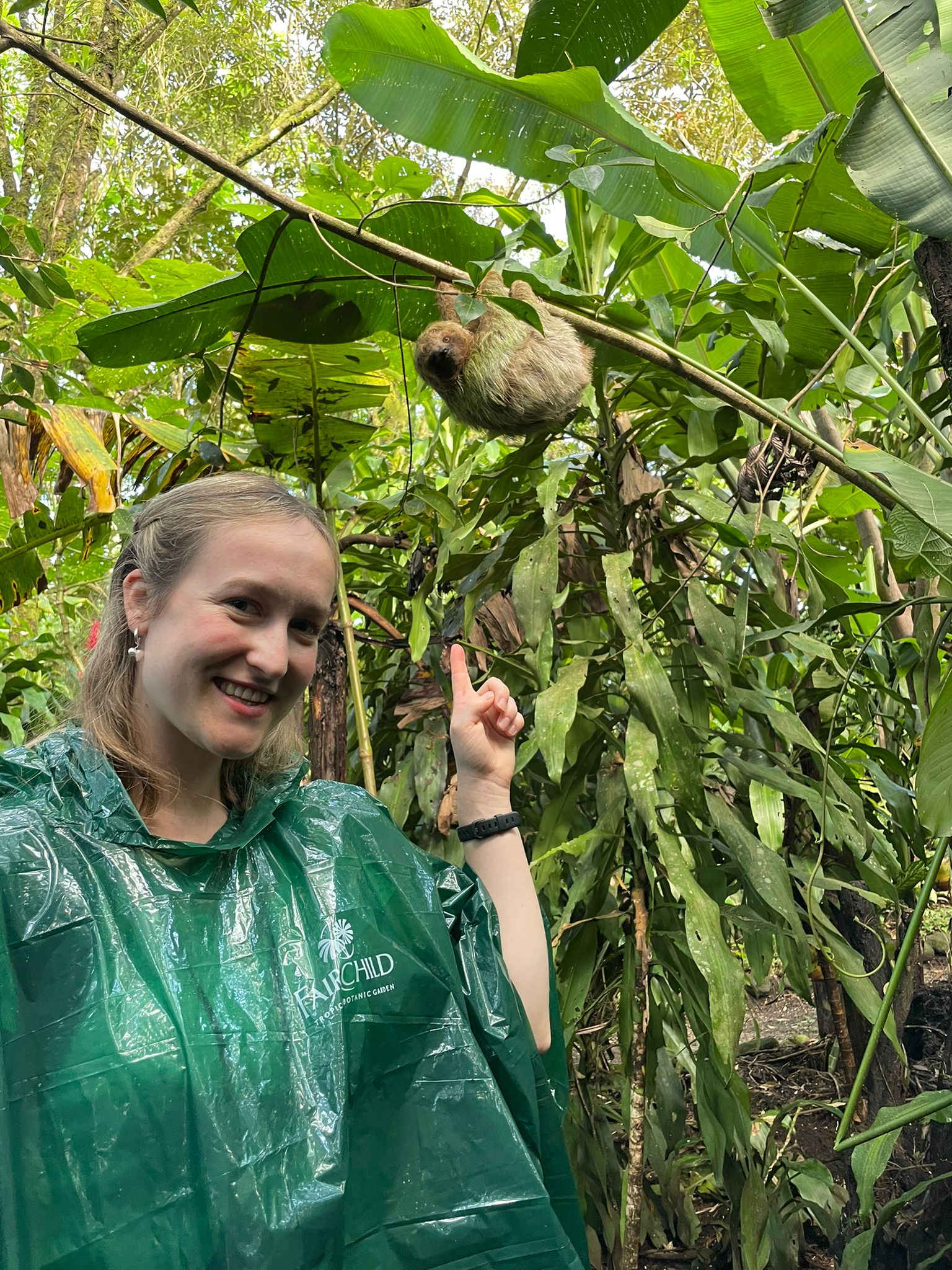 tropical-butterfly-house,-wildlife-&-falconry-centre