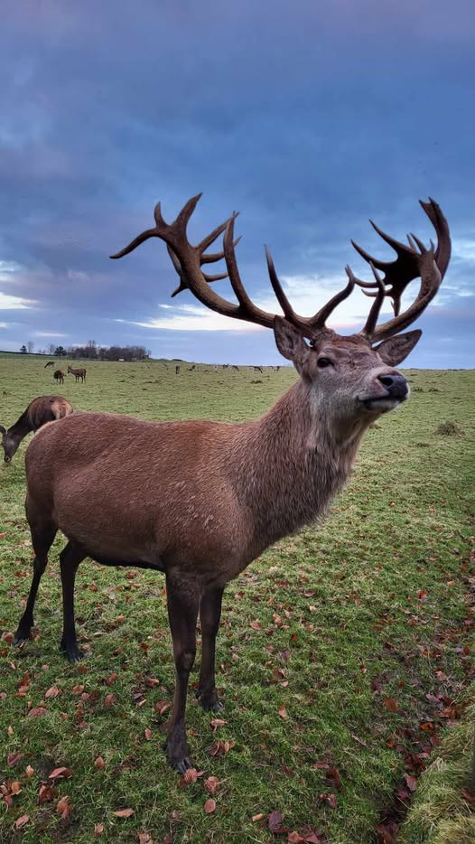 thornton-hall-farm-country-park