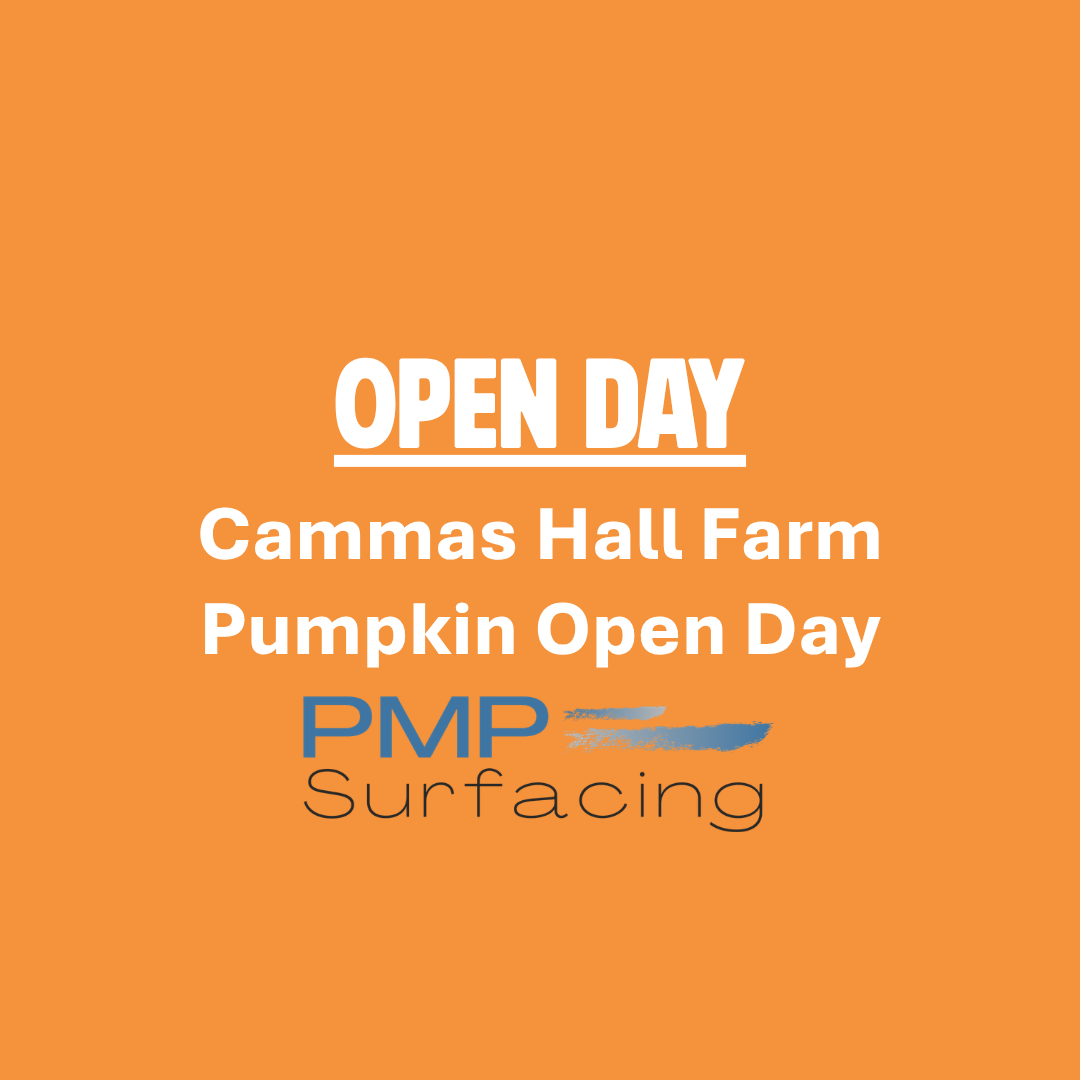 Pumpkin Open Day at Cammas Hall Farm