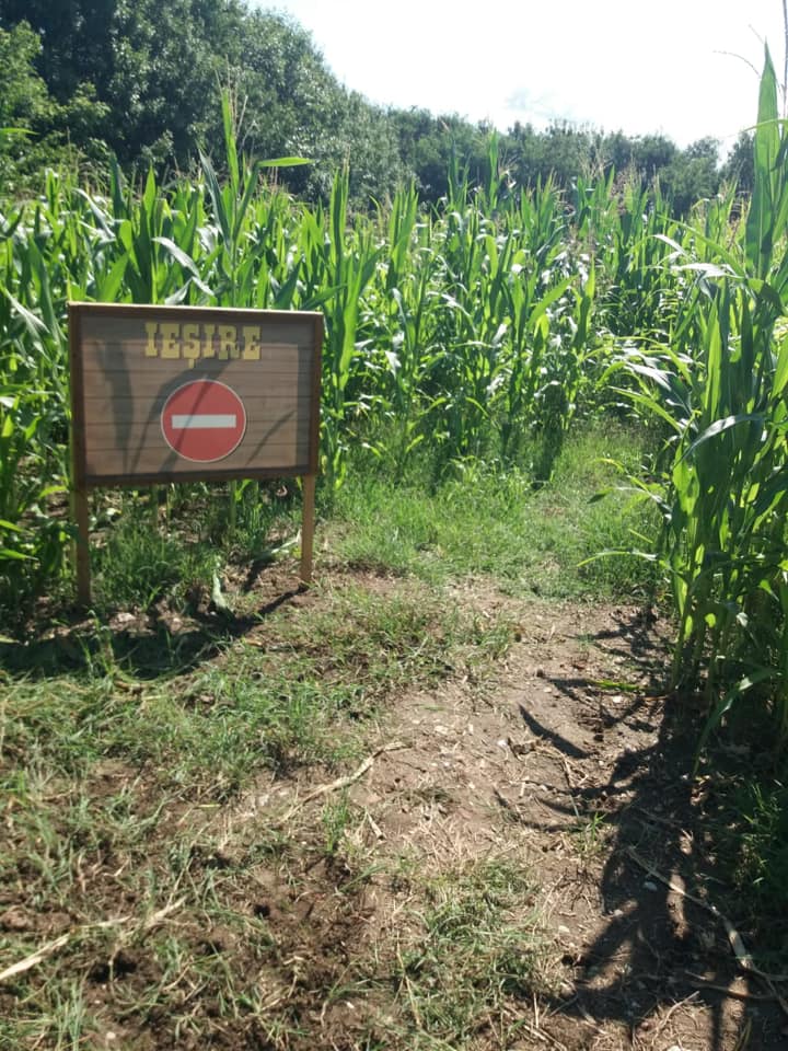 ferma-animalelor-the-animal-farm