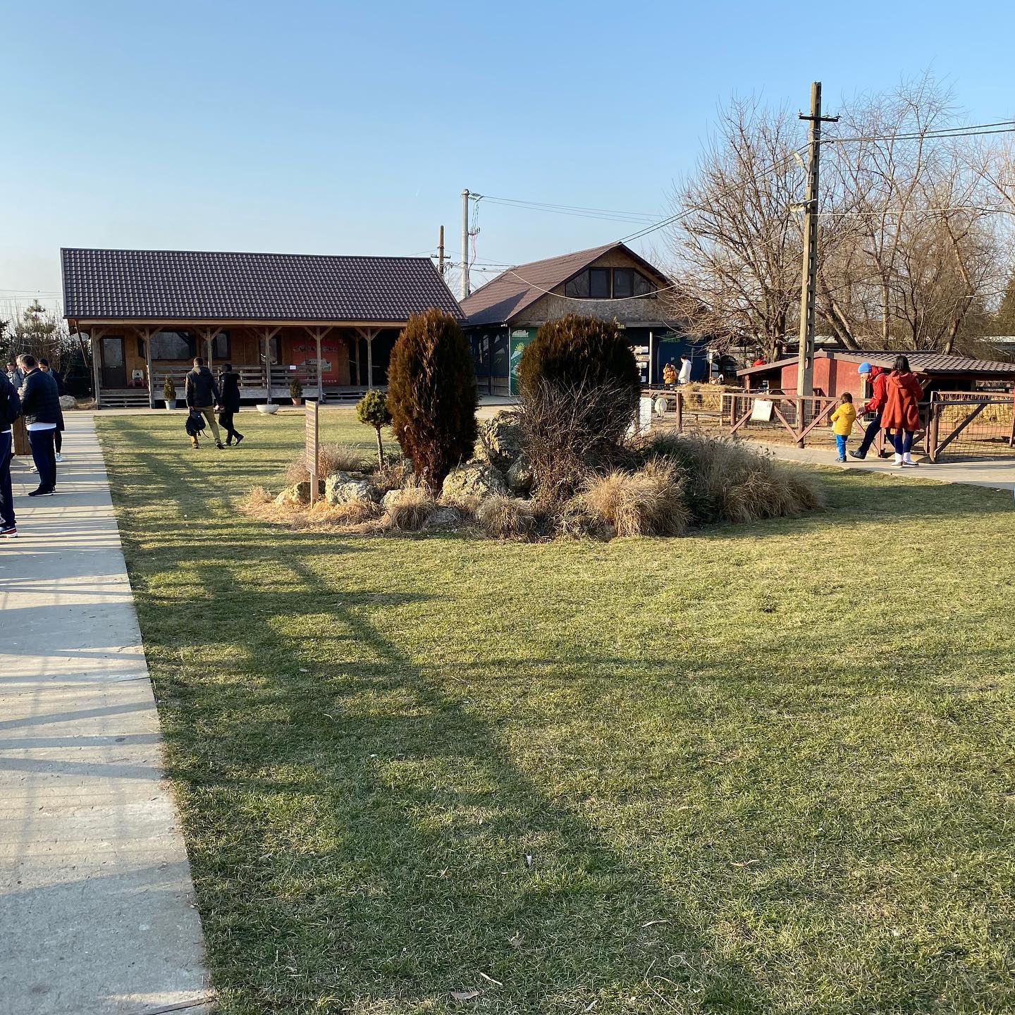 ferma-animalelor-the-animal-farm