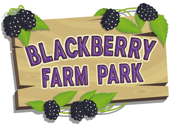 blackberry-farm