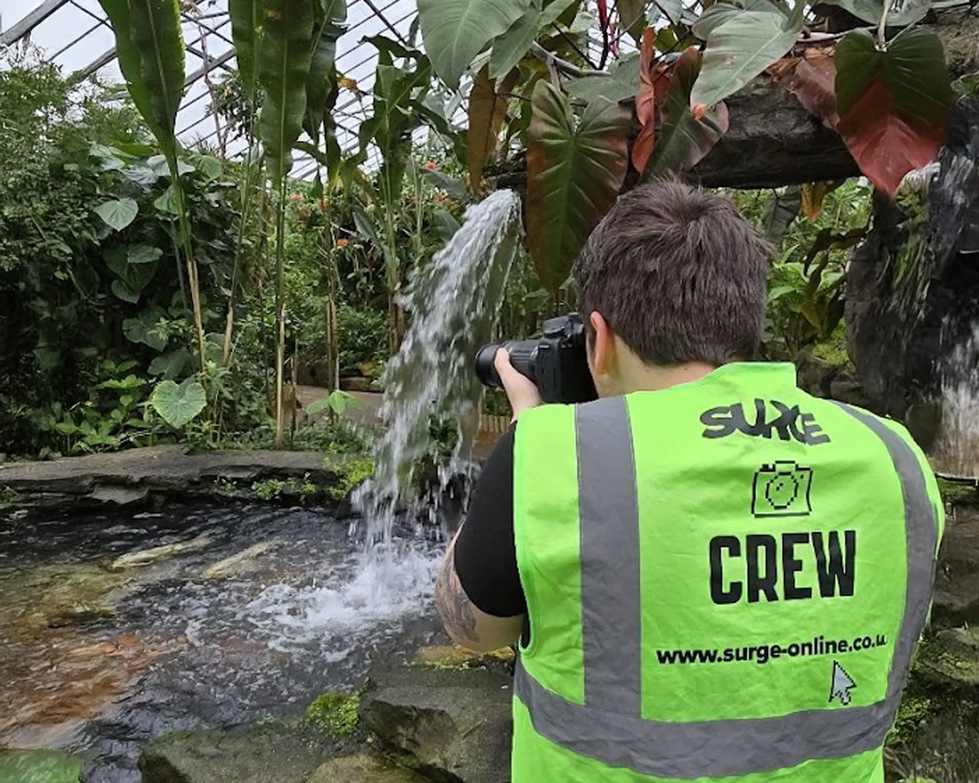 surge-marketing-solutions