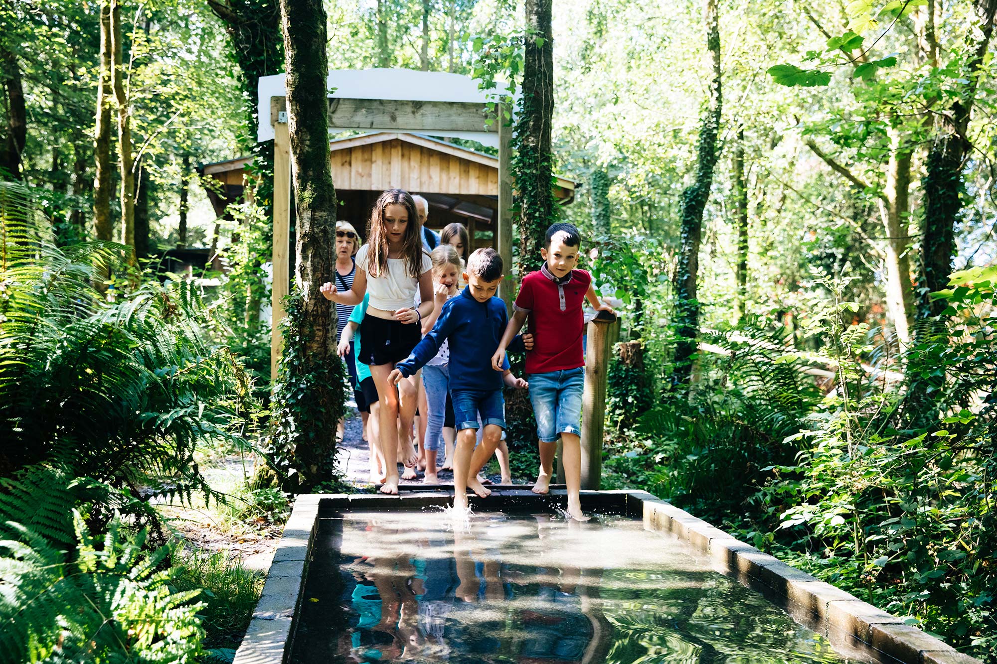 green-wood-family-park