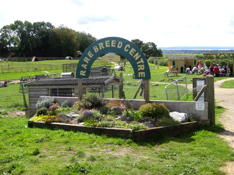 hadleigh-farm-rare-breeds-centre