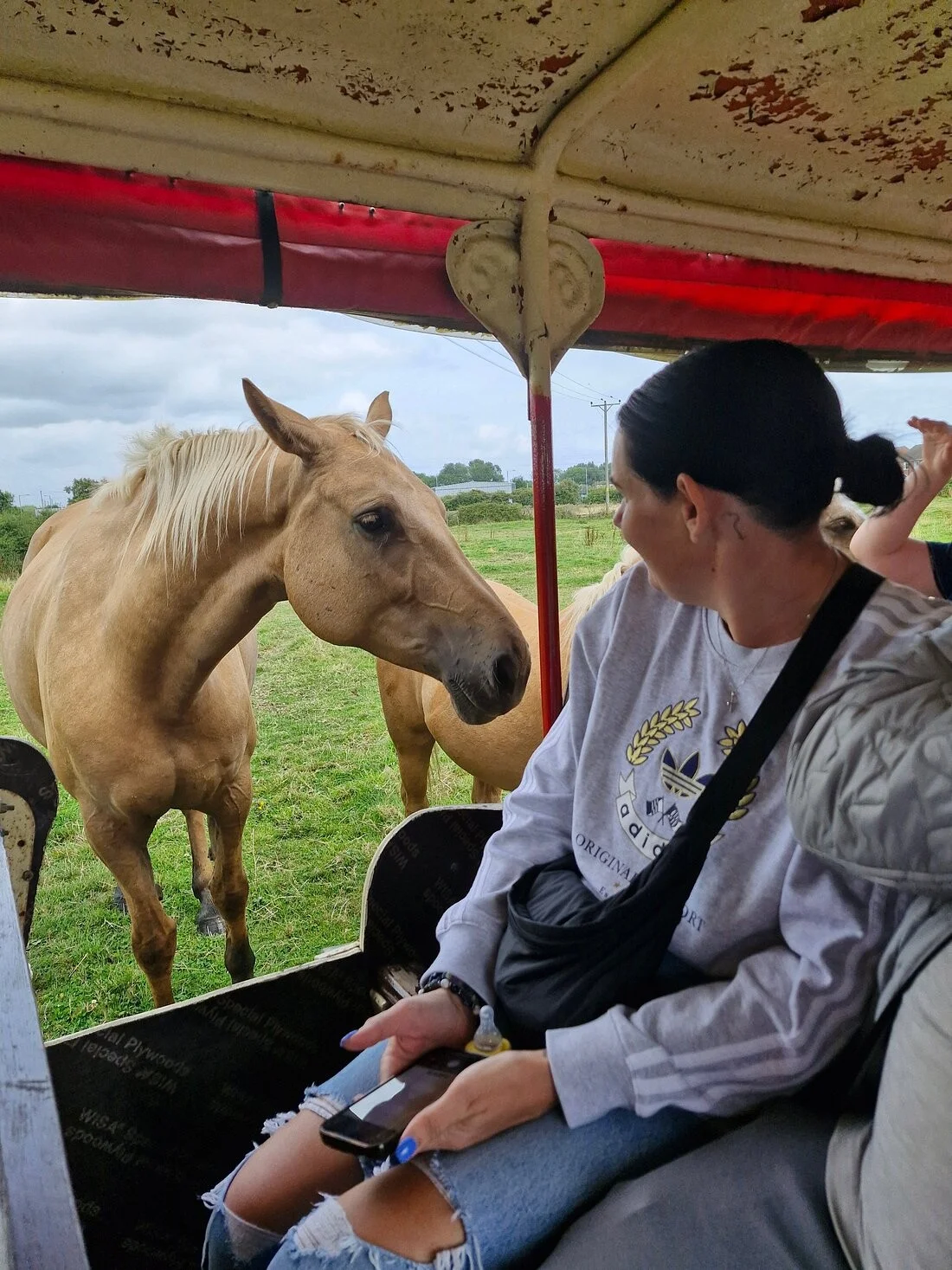 greenacres-animal-park