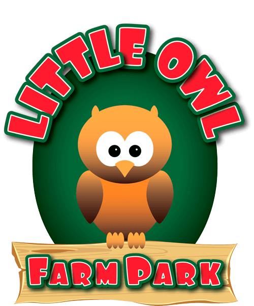 little-owl-farm-park