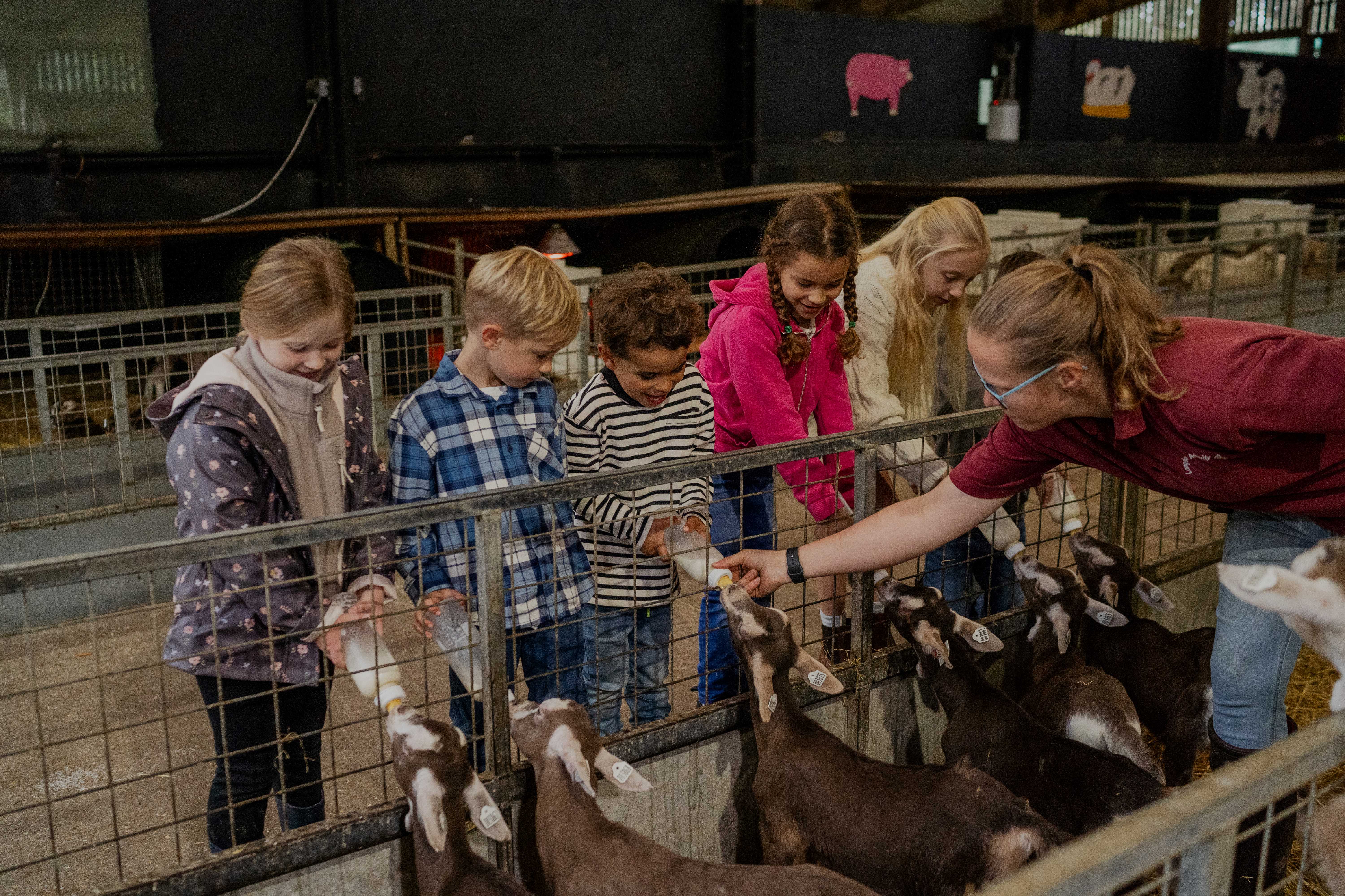 longdown-activity-farm